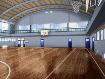 Locations GAME1&2 gymnasium interior.jpg